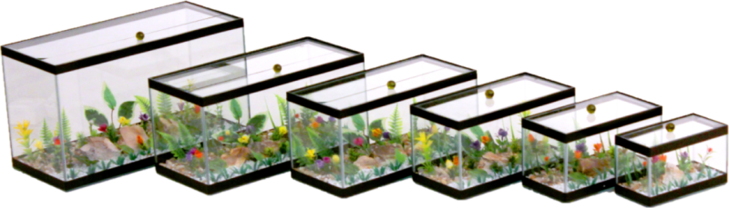 jogo aquario decorado.png