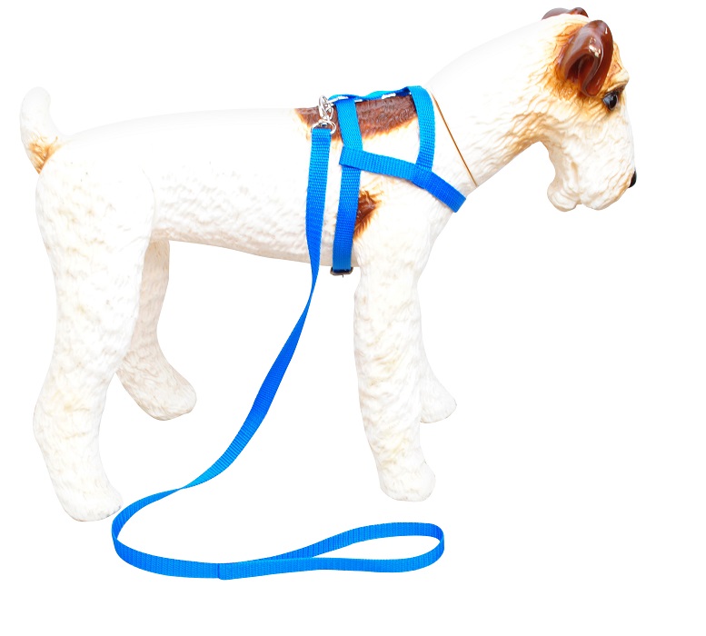 Peitoral liso Azul.JPG