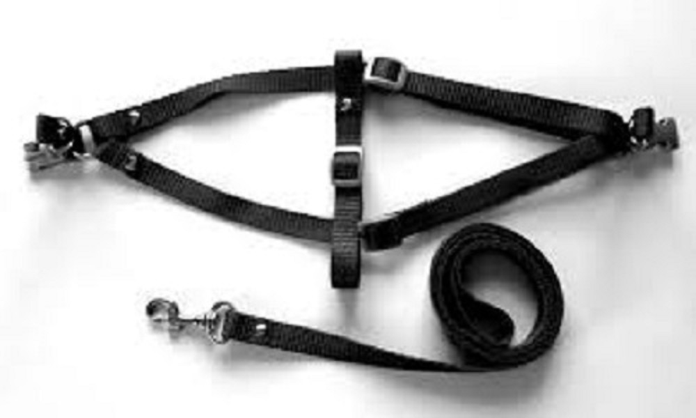 Guia Peitoral Regulavel com fecho.jpg