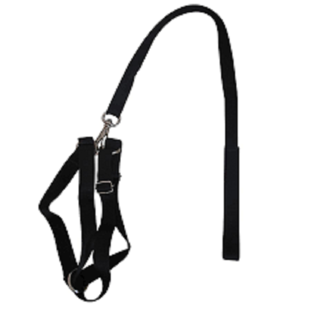 Guia Peitoral regulavel com Argola.png