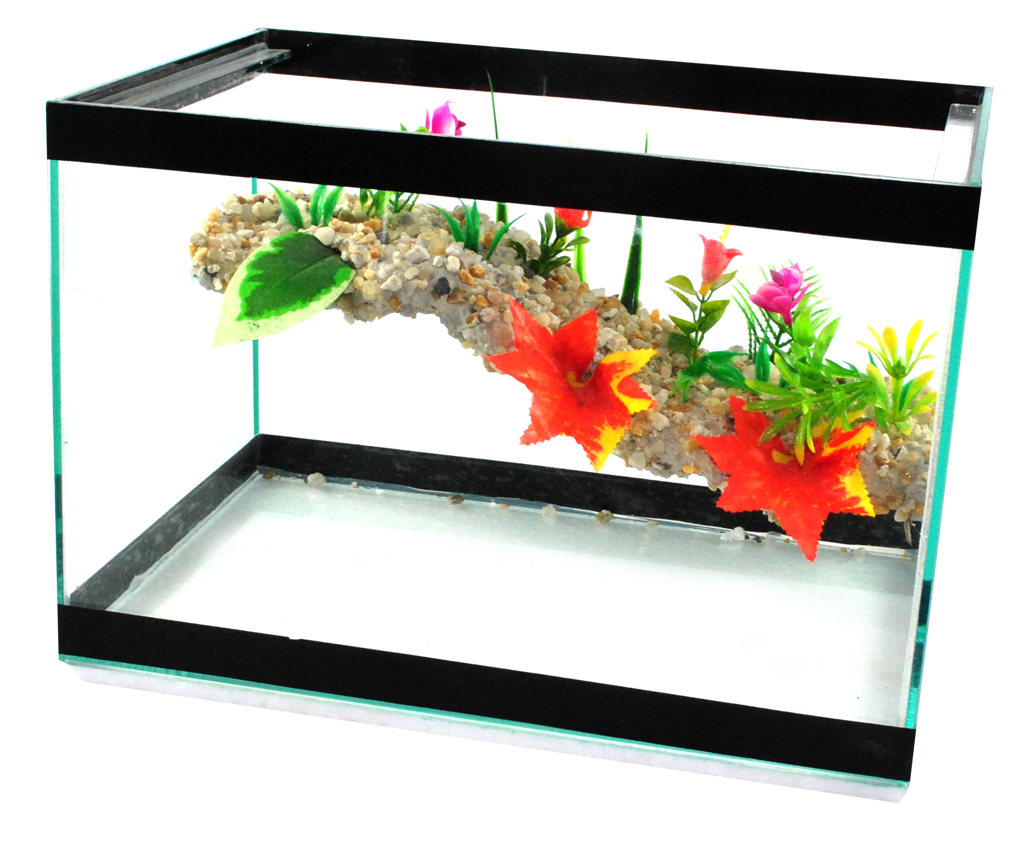 Terrario 30 x 20 x 20.jpg