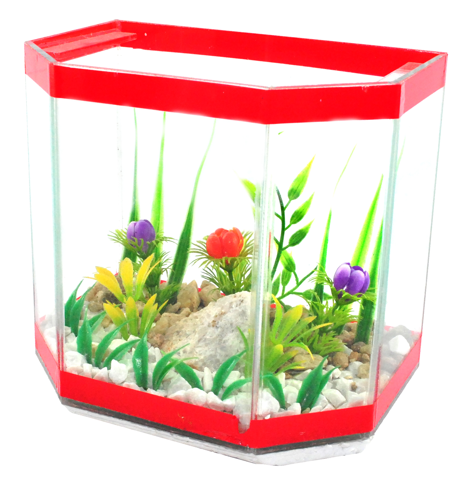 Robby gr decorada.jpg