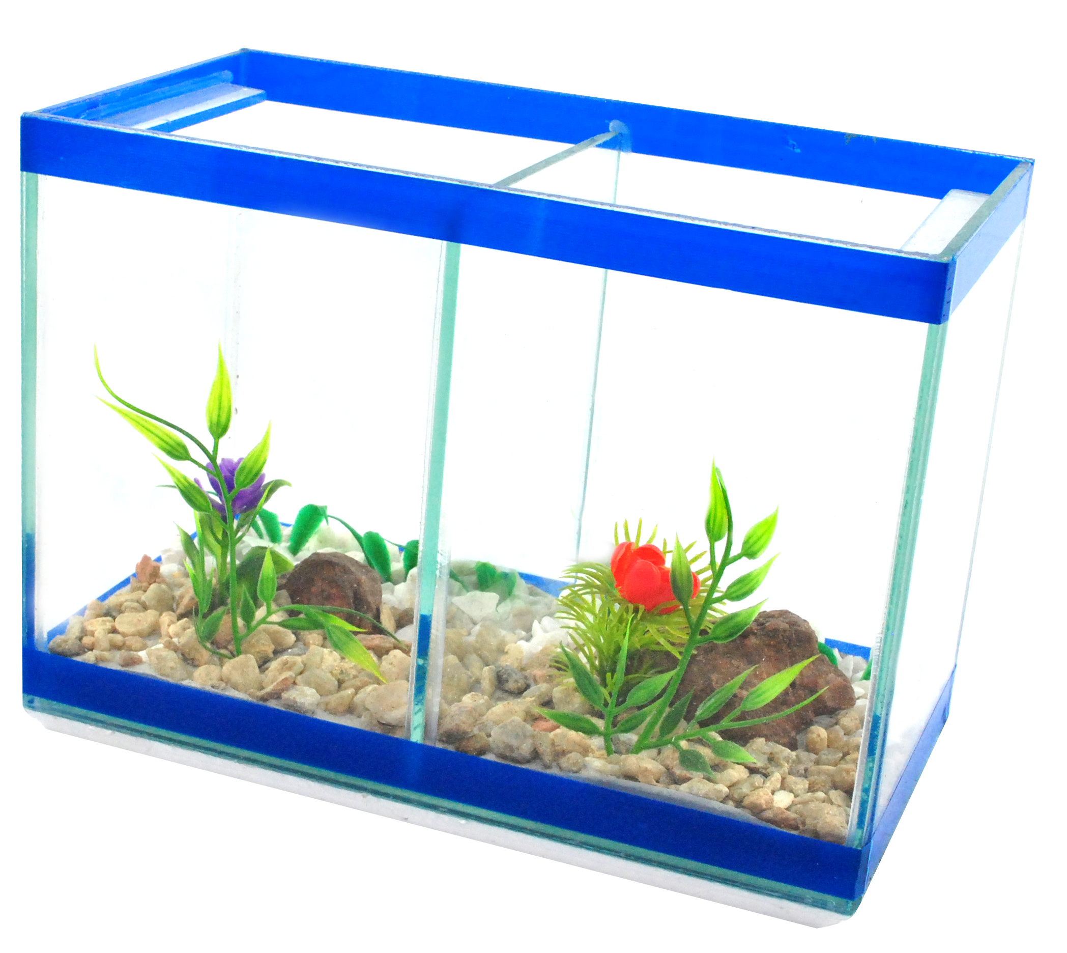 Dupla Md decorada.jpg