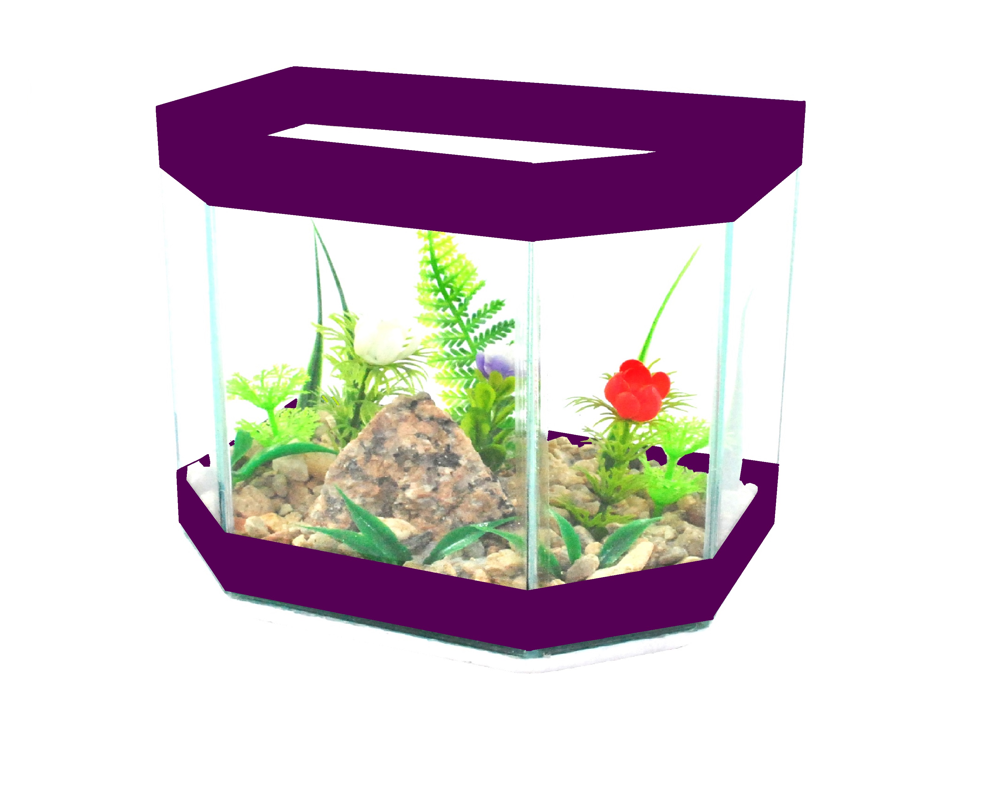 Robby decorada roxa.jpg