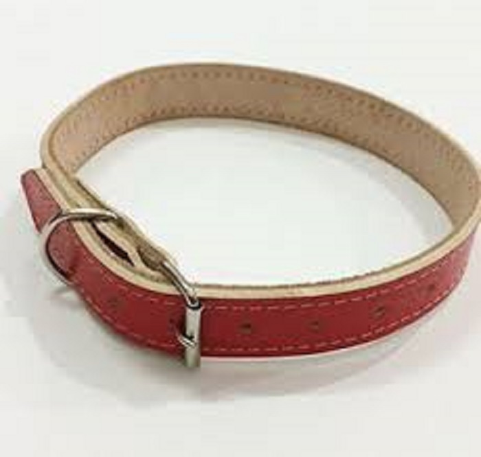 coleira de couro dupla.jpg