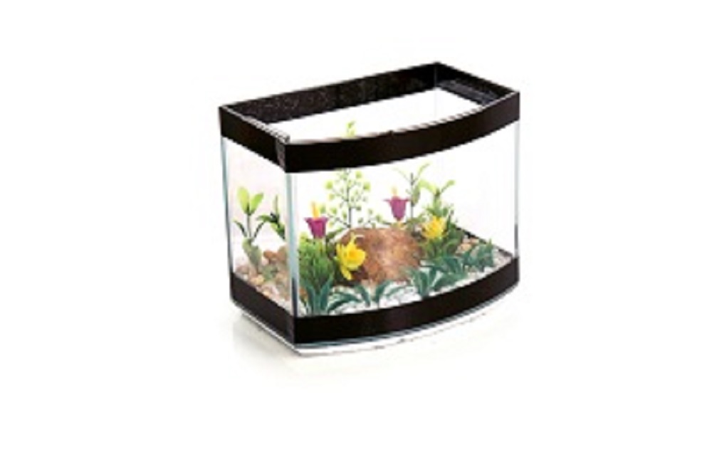 Curva Md decorada.jpg