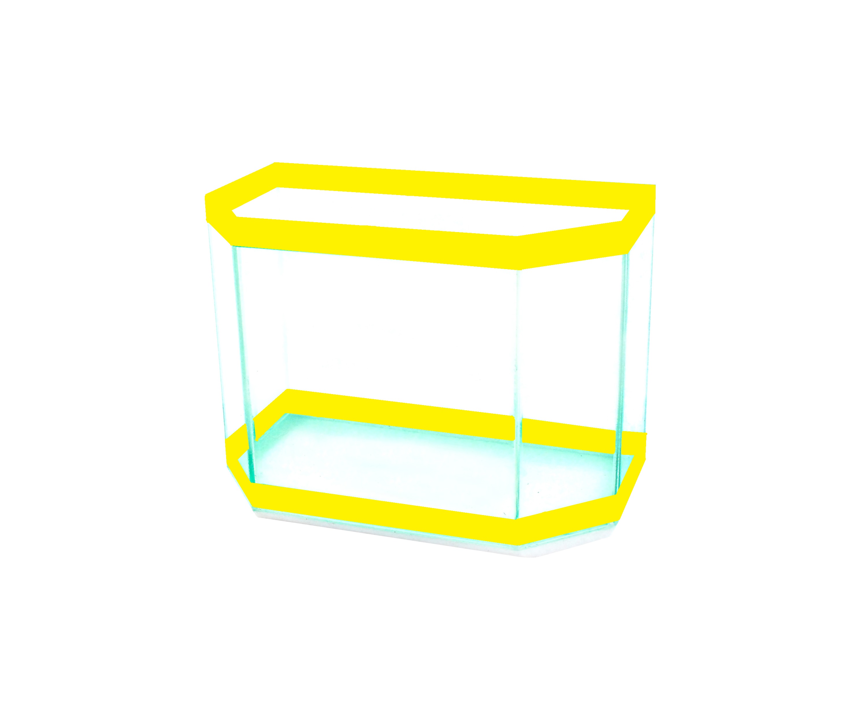 Pentagono amarela.jpg