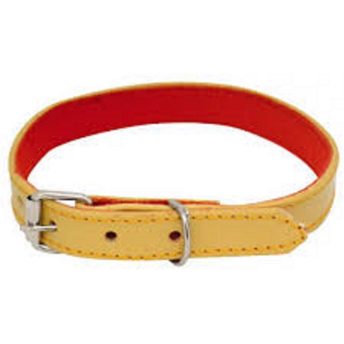 coleira de couro caramelo.jpg