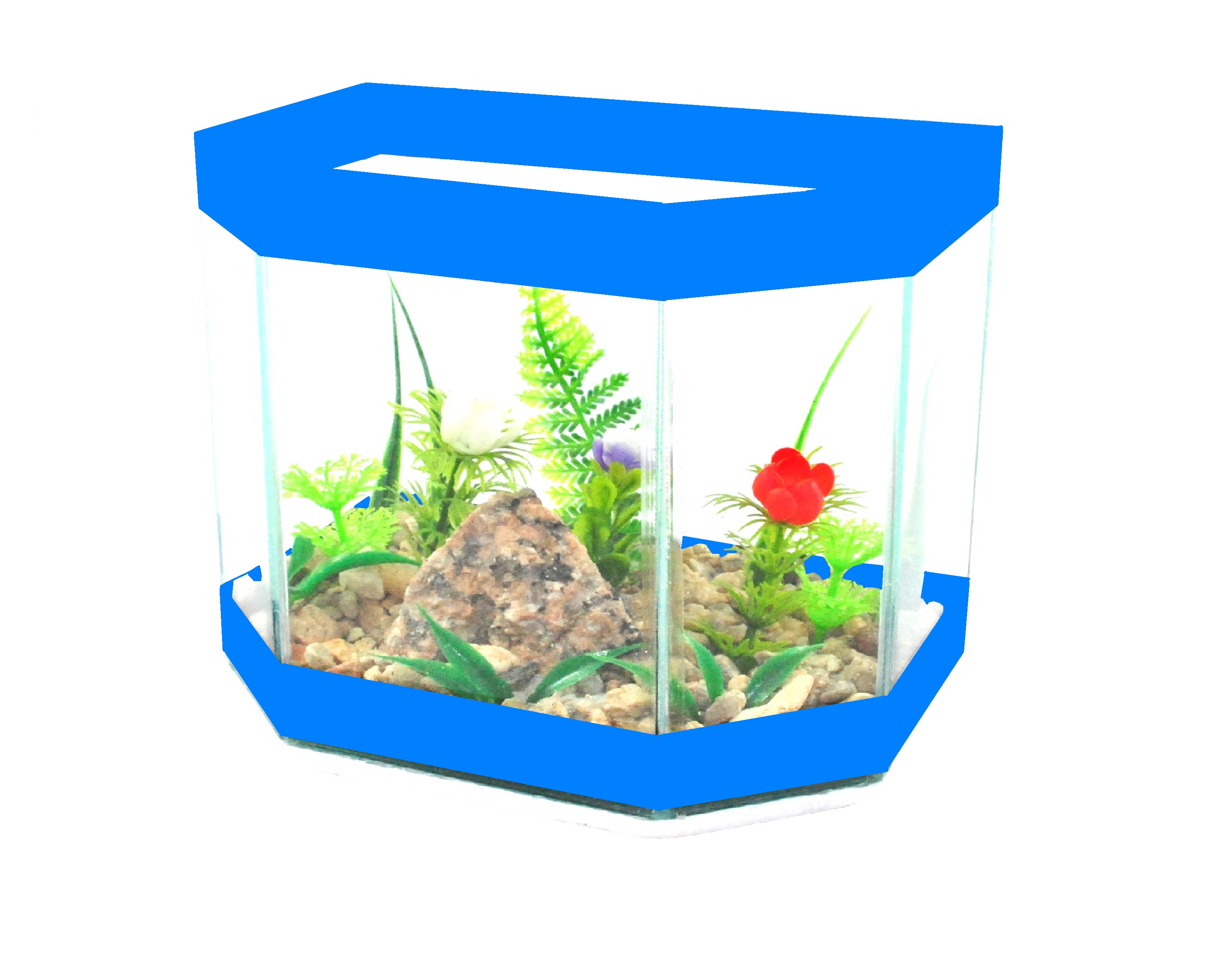 Robby decorada azul.jpg