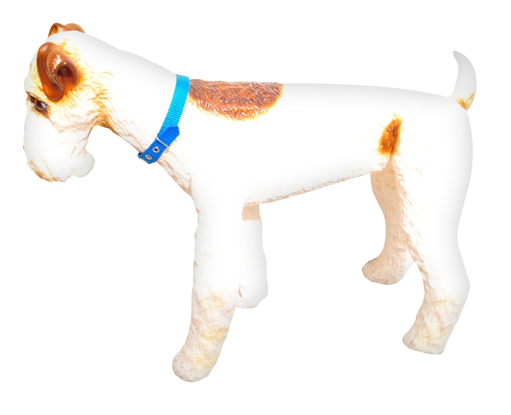 Coleira de Nylon.JPG