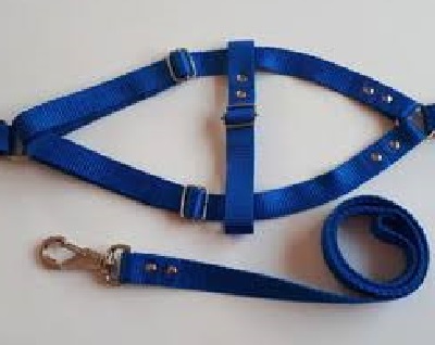 peitoral regulavel com fecho azul.jpg