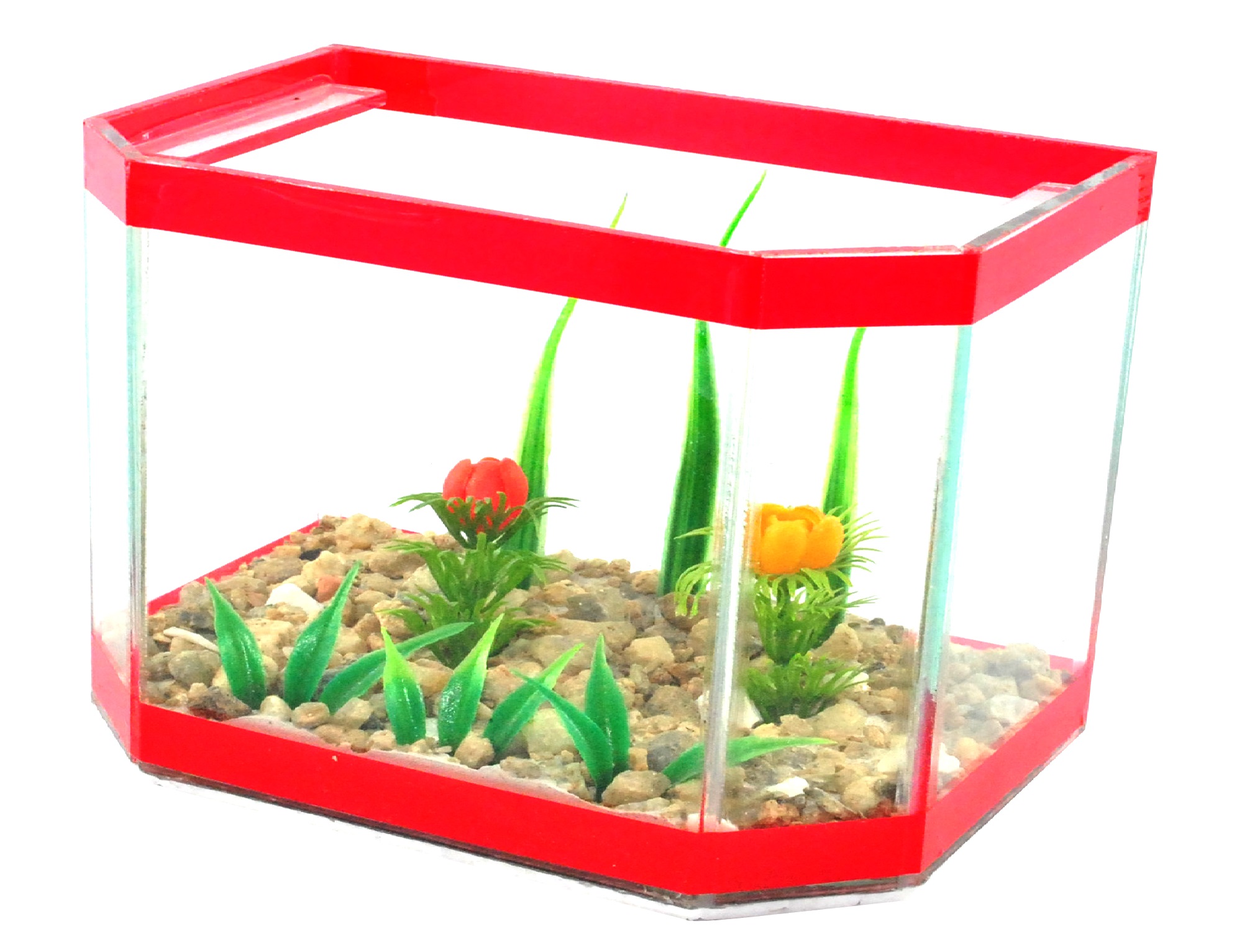 Pentagono gr decorada2.jpg