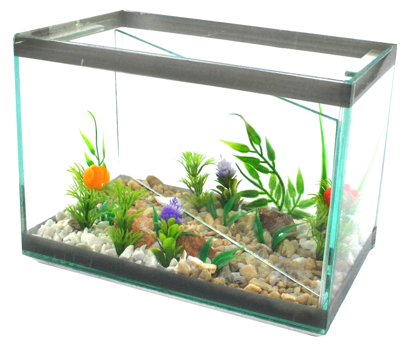 Magica gr decorada.jpg